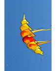 Hoffmanns Bowkite "Sunrise"