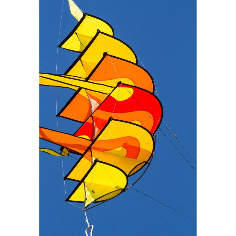 Hoffmanns Bowkite "Sunrise"