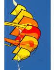 Hoffmanns Bowkite "Sunrise"