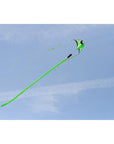 116" Hoffmanns Canard Delta - Lime