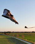 Parafoil Kite Orca