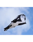 Parafoil Kite Orca