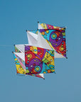 Rainbow Orbit Clarkes Crystal Kite