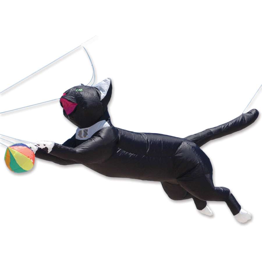 10.5ft Black Cat Line Laundry