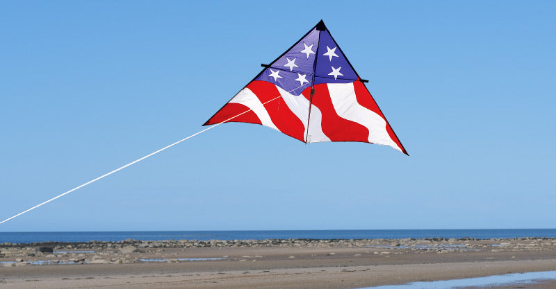 11 Ft. Patriotic Delta Kite