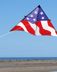 11 Ft. Patriotic Delta Kite