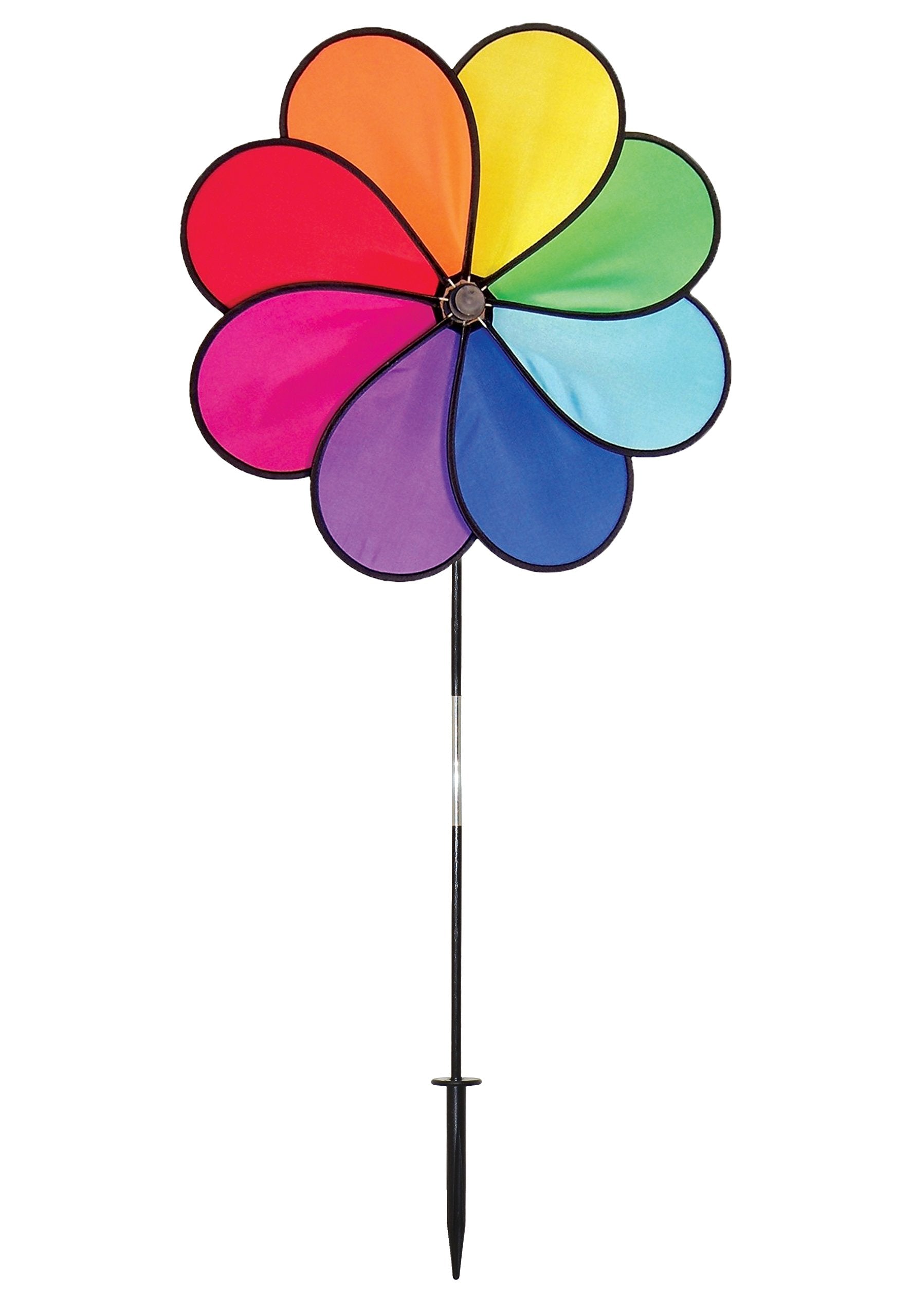 Flower-Rainbow Dazy