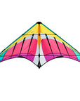 Hypnotist Sport Kite - Sky Candy