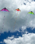 Prism 20' Printed Ribbon Tail - Ultraviolet