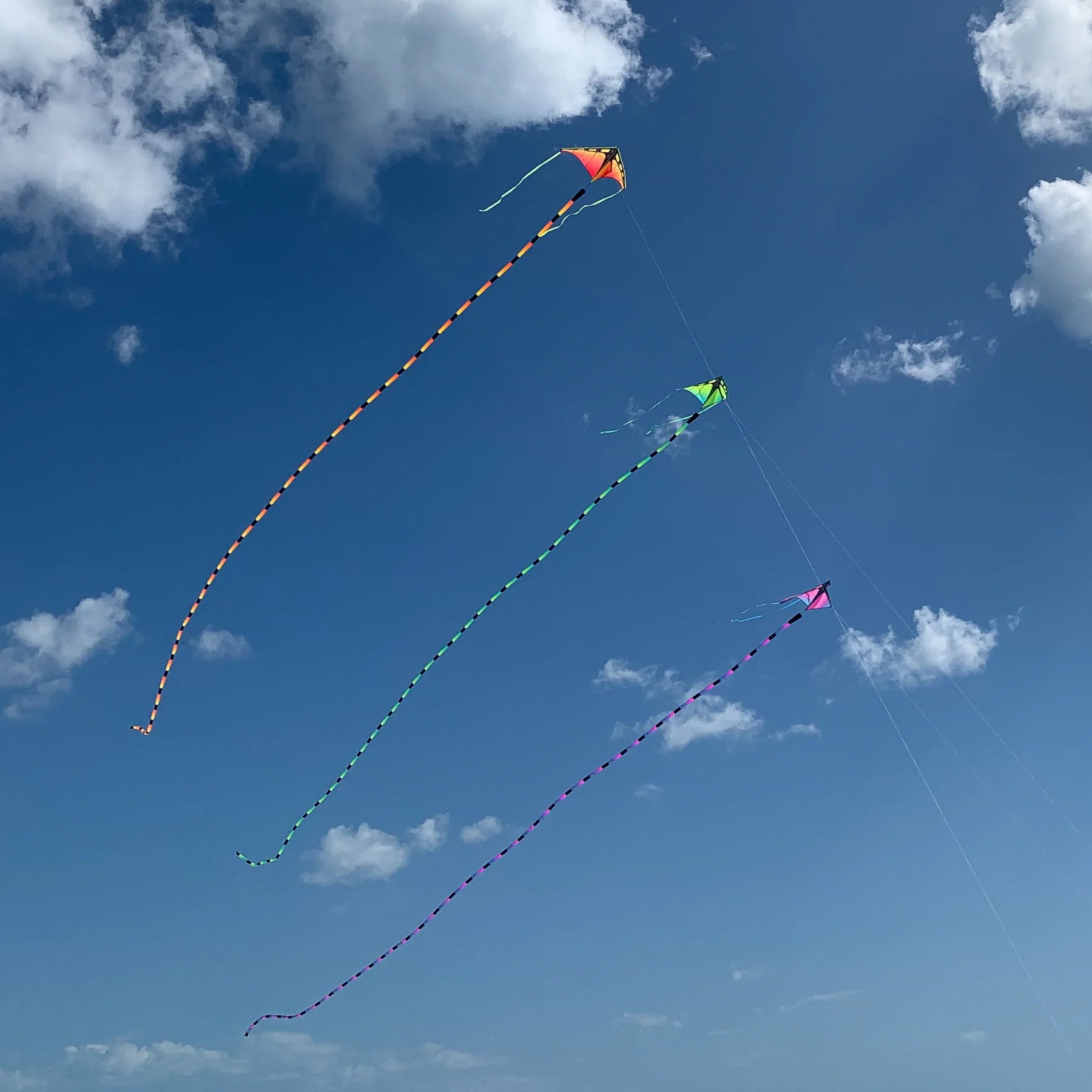 Prism 20' Kite Tube Tail - Ultraviolet