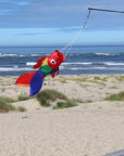 15" Fish Windsock - Rainbow Damsel