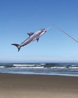 30" Fish Windsock - Baby Shark