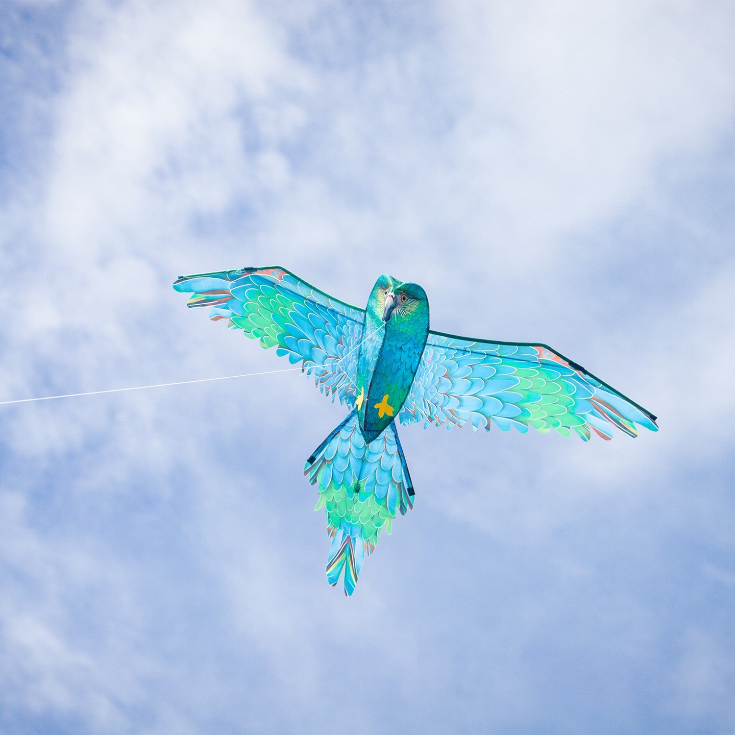 70" 3D Blue Parrot Kite