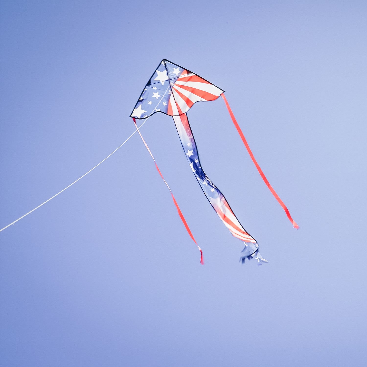 30" Mini Fly-Hi Kite - Patriotic