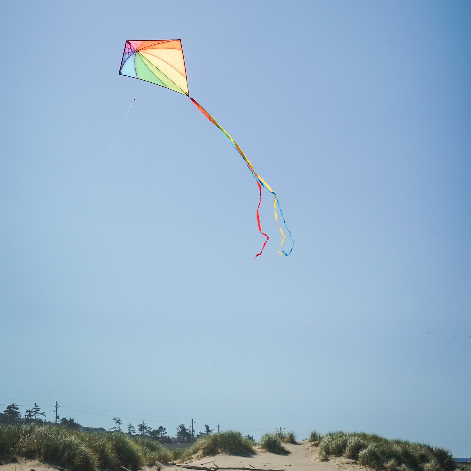 30" Patterned Diamond Kite - Rainbow Stained Glass