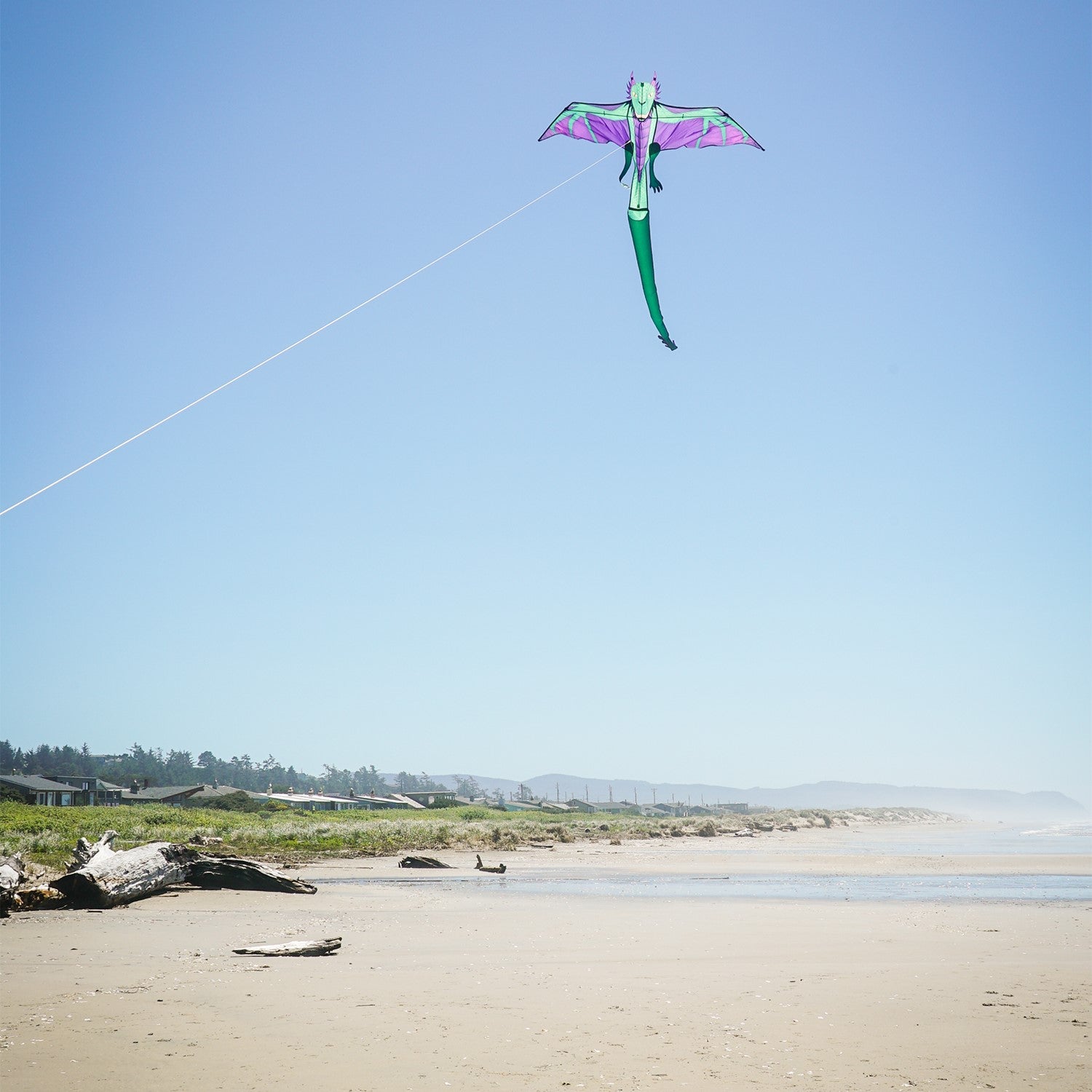 90" Dragon Kite