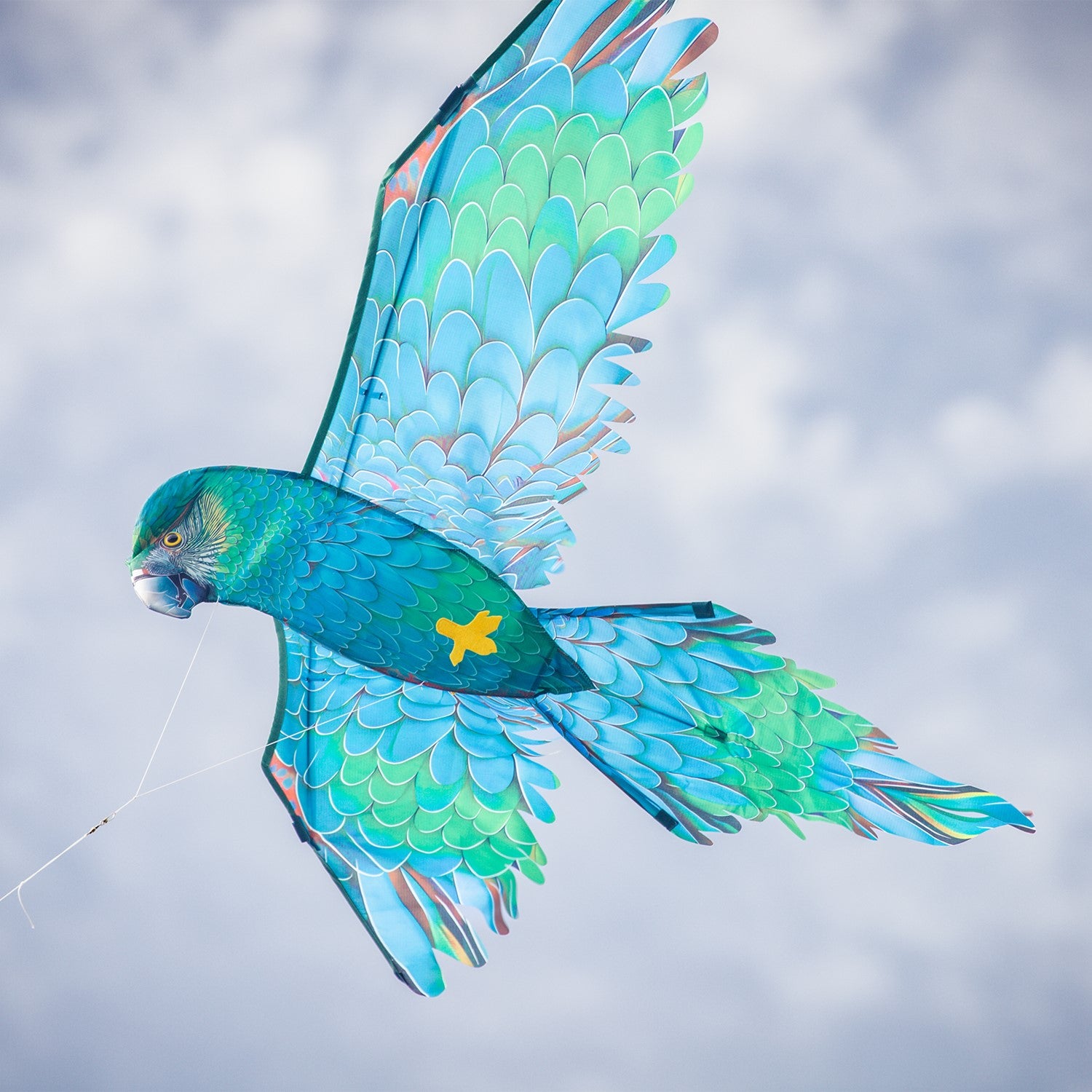 70" 3D Blue Parrot Kite