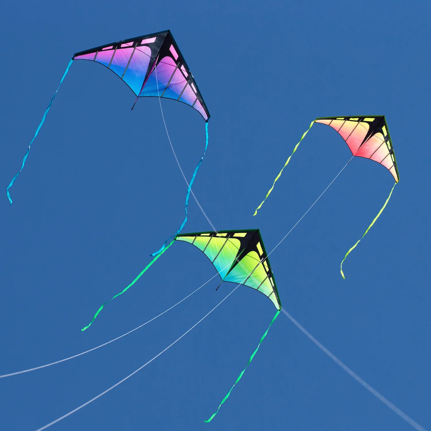Prism - Zenith 5 - Ultraviolet