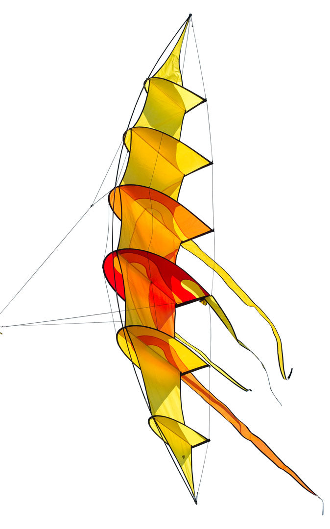 Hoffmanns Bowkite "Sunrise"