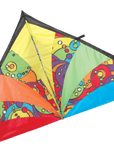 9 Ft. Rb Orbit Delta Kite - ProKitesUSA