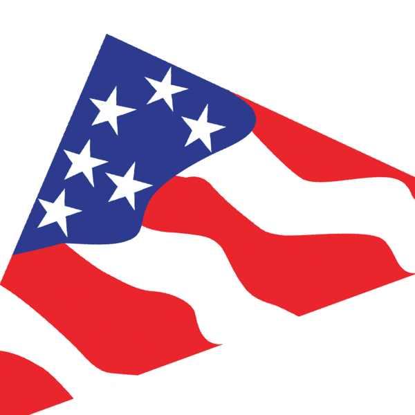 11 Ft. Patriotic Delta Kite - ProKitesUSA