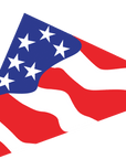 11 Ft. Patriotic Delta Kite - ProKitesUSA