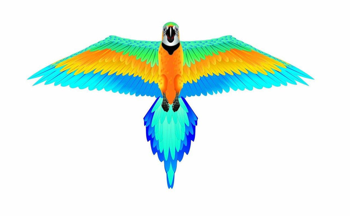 61" Macaw Rainforest Kite Pro Kites USA