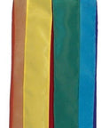 40" Animal Windsock - Dragonfly