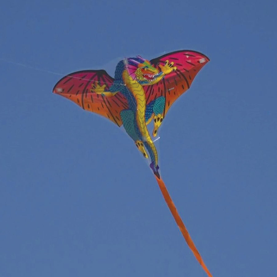 Dragon 28" Kite