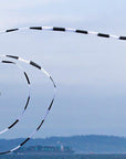 75' Tube Tail - Black & White - ProKitesUSA