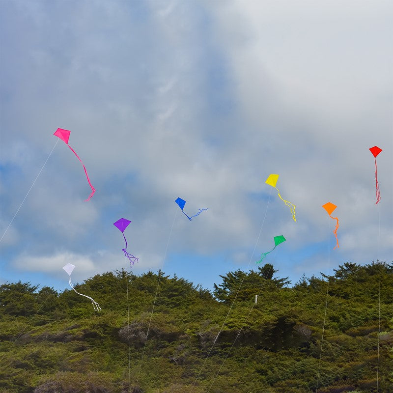 Kites Solid Color Kites – Pro Kites USA