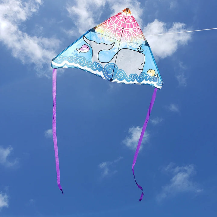 Single Line Kites - ProKitesUSA
