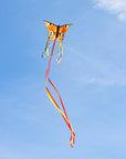 Butterfly Kite "R" - Peacock