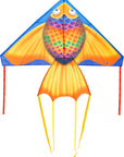 55" Delta Rainbow Fish Kite