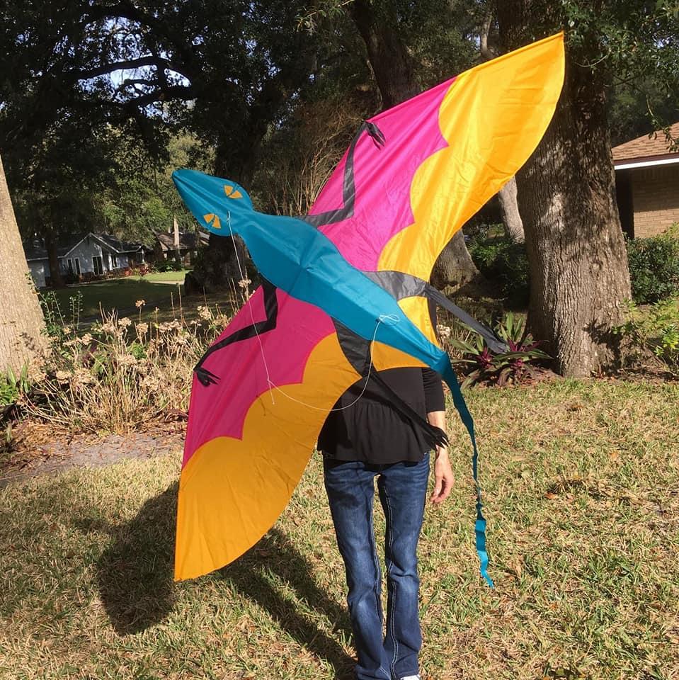 72" Dimorphodon Kite by Joel Scholz Pro Kites USA