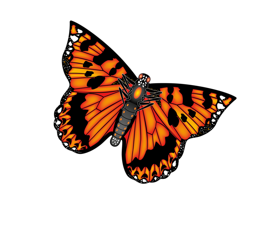 28" Nylon Butterfly Orange Kite
