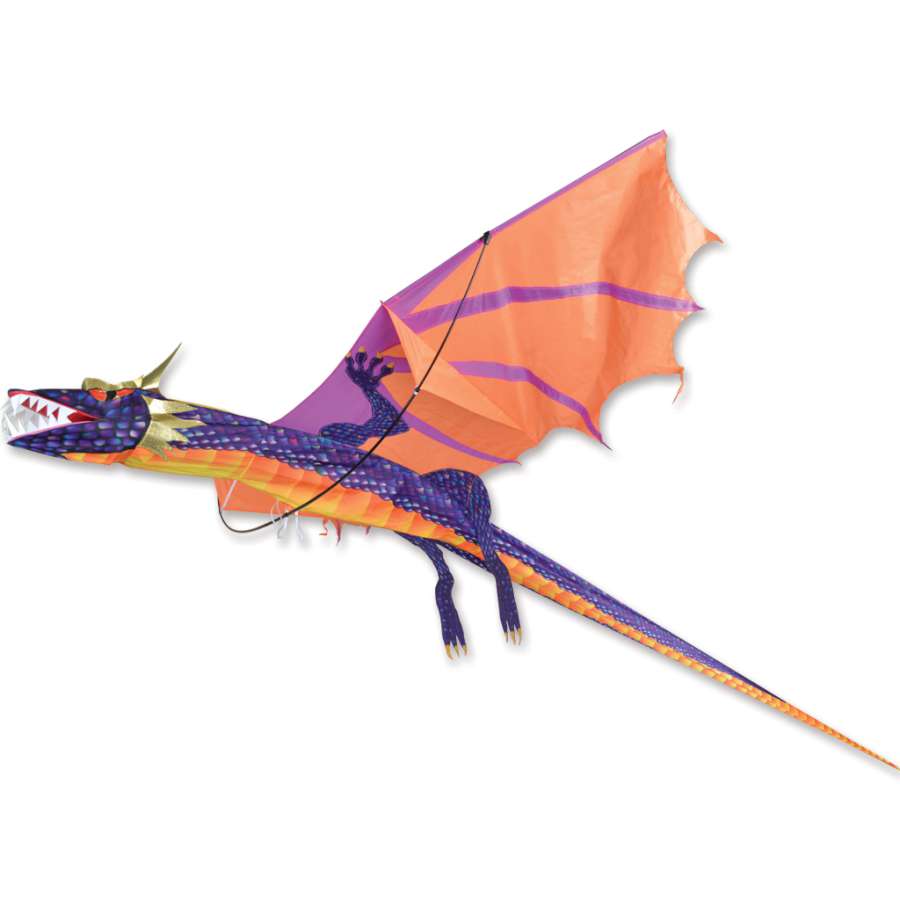 Large 3D Sunset Dragon Kite