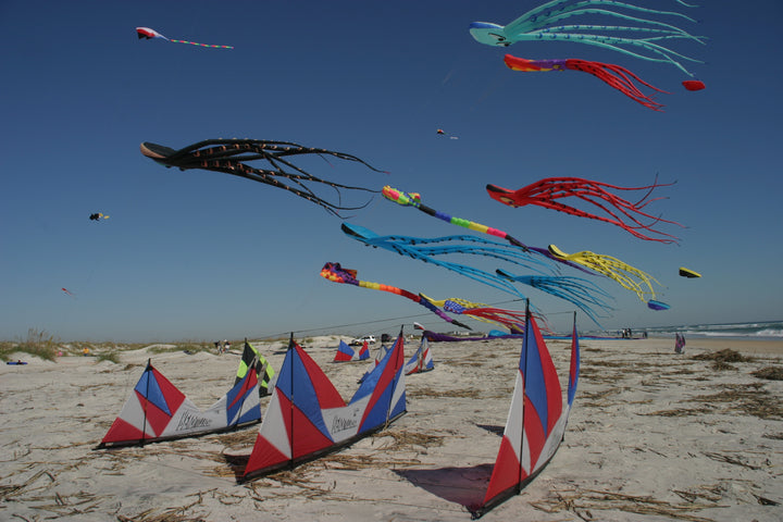 Kites - Kites For Sale - Buy Kites at Pro Kites USA