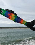 60" Fish Windsock - Rainbow Scales