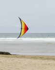 55" Sunset Sport Kite