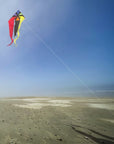 52" Wave Delta Kite - Rainbow Flux