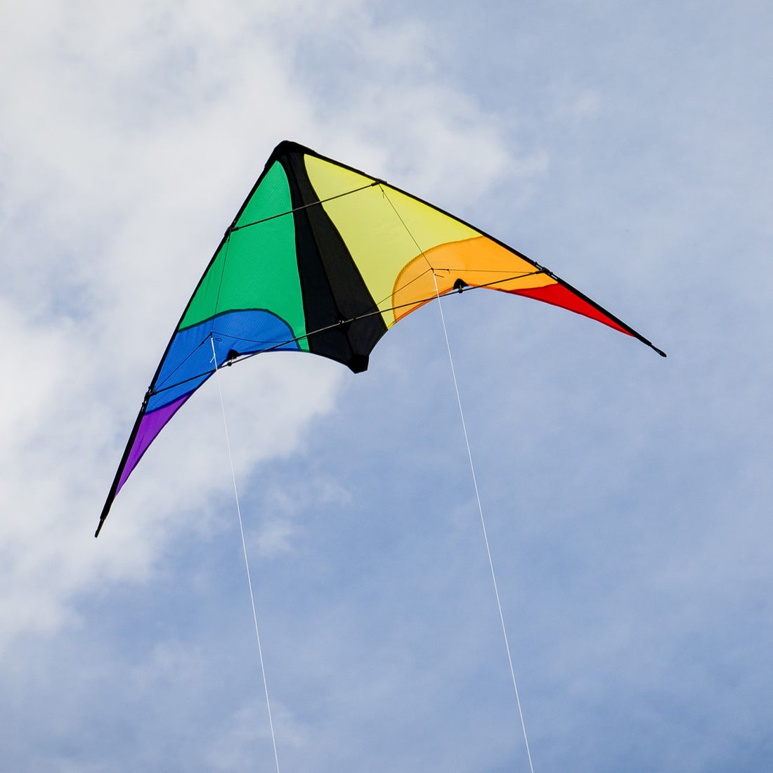 48" Colorwave Sport Kite
