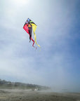 52" Wave Delta Kite - Rainbow Flux