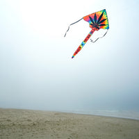 High As A Kite Fly-Hi