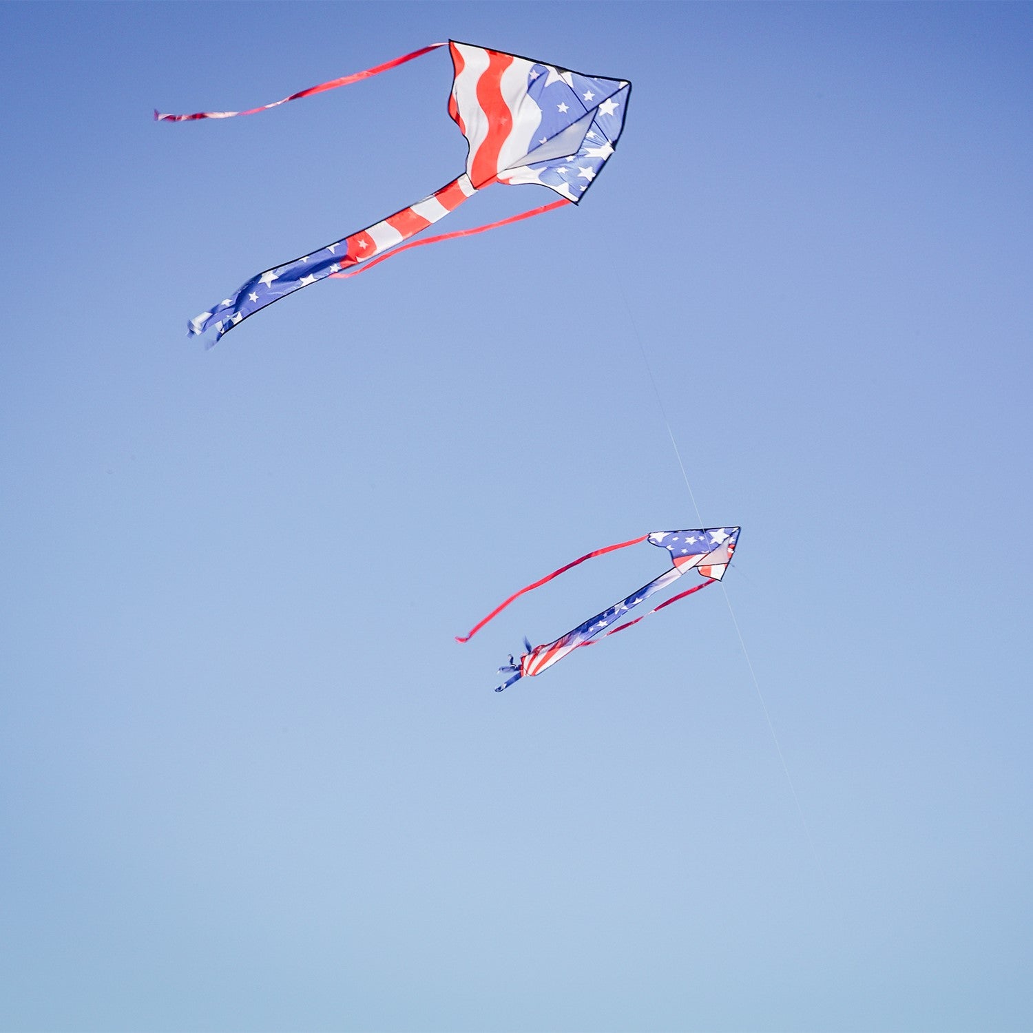 46&quot; Fly-Hi Kite - Patriotic