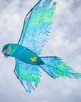 70" 3D Blue Parrot Kite