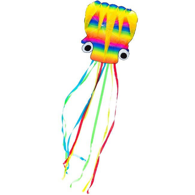 Rainbow Octopus "L"