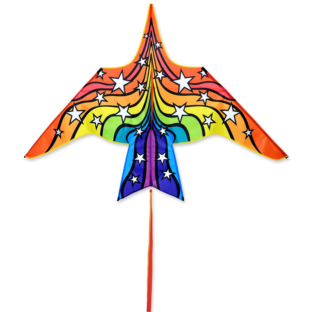 Thunderbird - 90 In. Rainbow Geometric