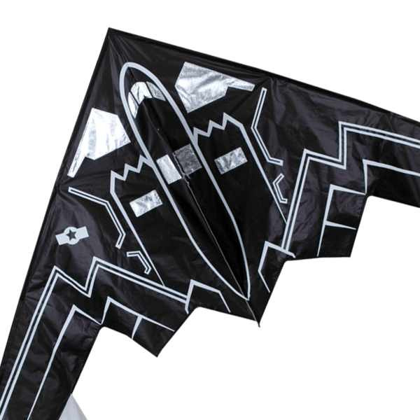 56" Stealth Bomber Delta Kite - ProKitesUSA