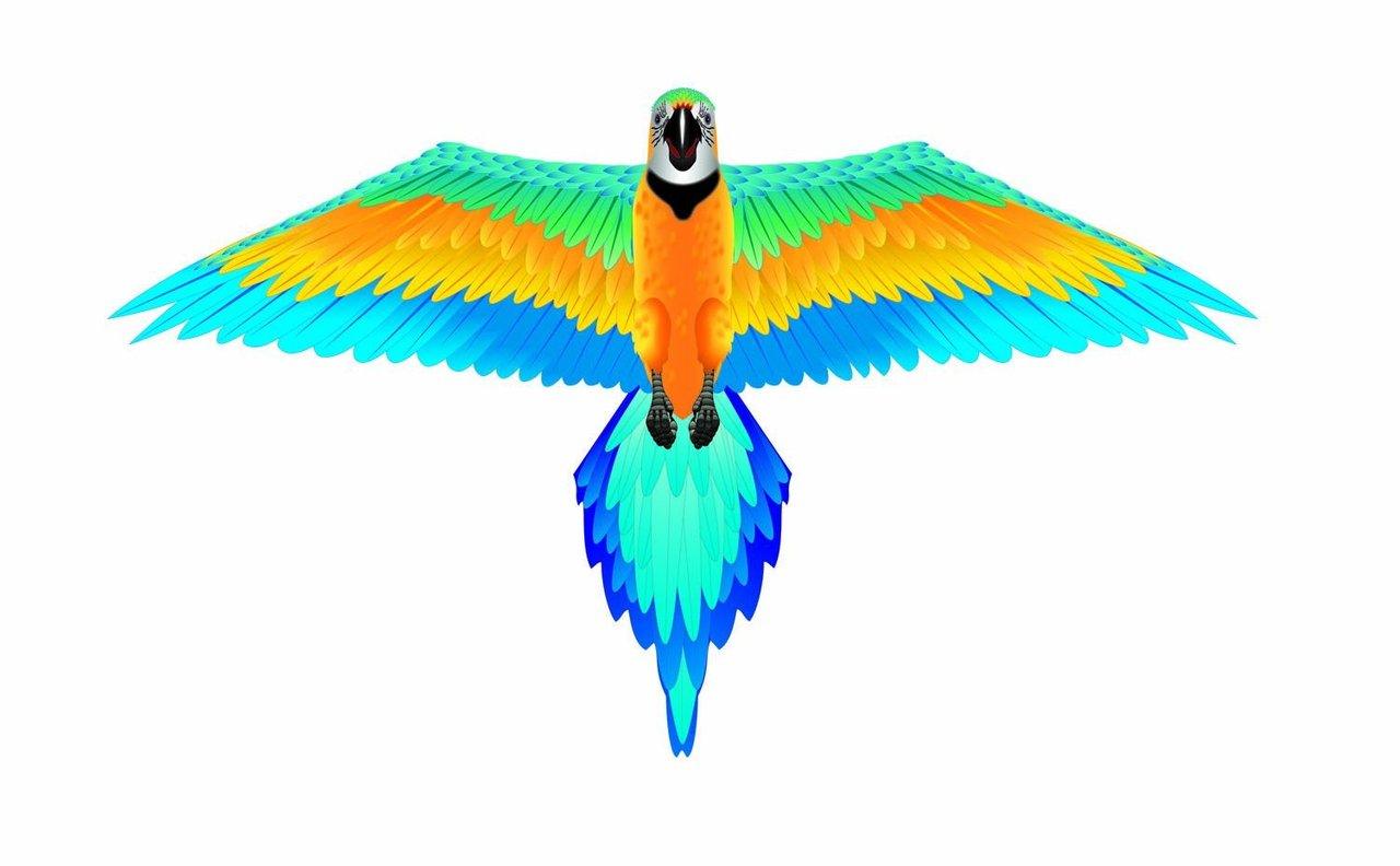 44&quot; Macaw Rainforest Kite - ProKitesUSA